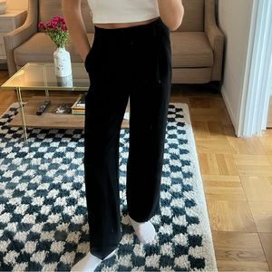 Aritzia Trousers